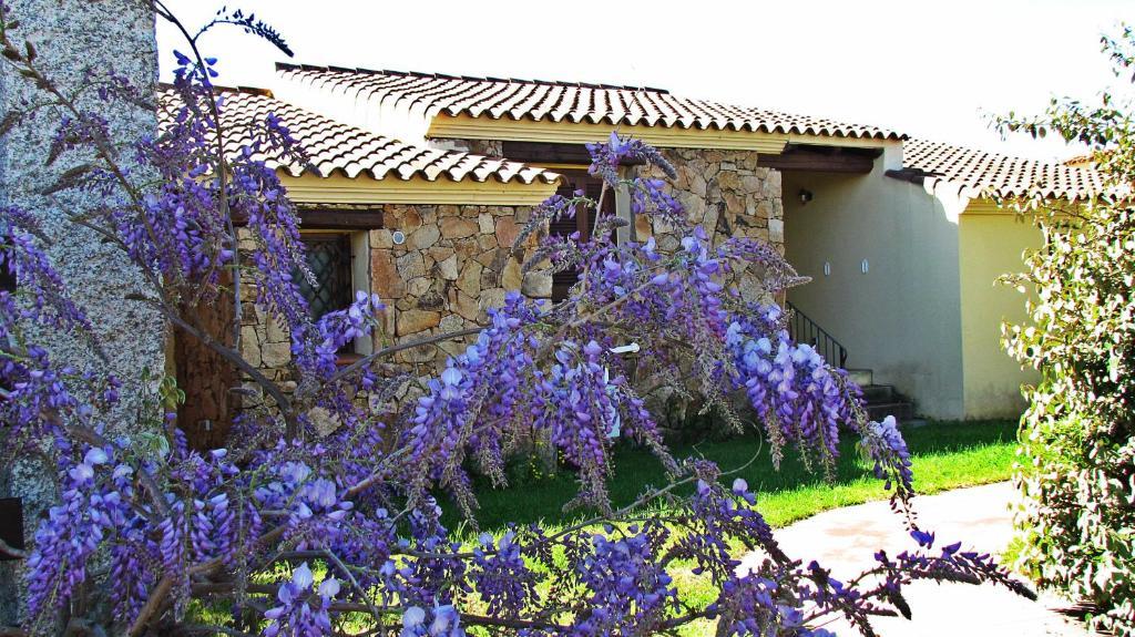 Li Suari Club Village Сан-Теодоро Екстер'єр фото